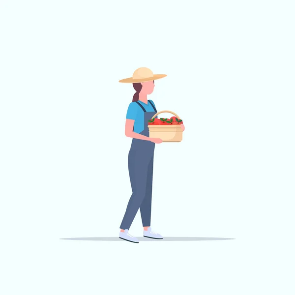 Agricoltore azienda pomodori rossi maturi cesto donna raccolta verdura lavoratore agricolo ecoagricoltura concetto piatto a tutta lunghezza — Vettoriale Stock