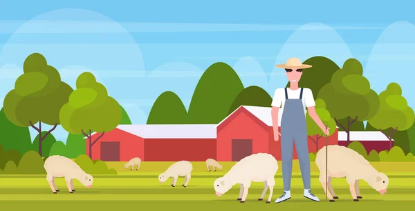 Berger avec bâton troupeau troupeau de moutons blancs souriant agriculteur mâle reproducteur moutons concept d'agriculture écologique terres agricoles campagne paysage plat pleine longueur horizontale — Image vectorielle