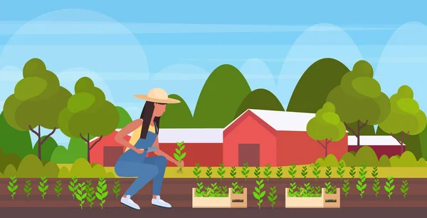 農業の苗を植える女性農家 アフリカ系アメリカ人女性農業従事者ガーデニングエコ農業コンセプト 農地田舎風景 平らな全長水平 — ストックベクタ