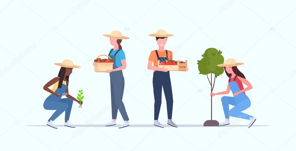 set mix race gardeners working in garden or greenhouse county men women agricultural workers harvesting gardening eco farming concept flat full length horizontal