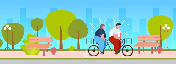 Şişman obez çift sürme tandem bisiklet kilolu adam kadın bisiklet ikiz bisiklet kilo kaybı kavram yaz parkı manzara arka plan düz tam uzunlukta yatay — Stok Vektör