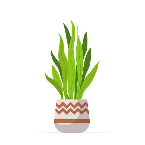 Διακοσμητικό φυτό εσωτερικού χώρου φυτεμένο σε κεραμικά φυτά γλάστρας — Διανυσματικό Αρχείο