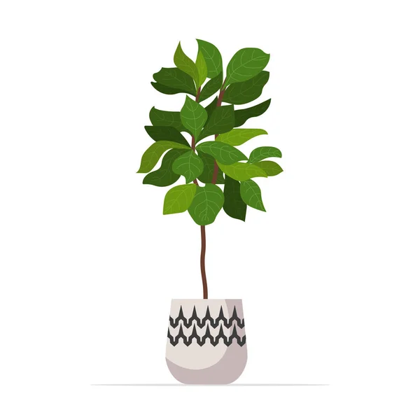 Decoratieve kamerplant geplant in keramische pot tuin potplanten — Stockvector