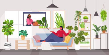 Ev bitkileriyle ilgilenen kadın video araması sırasında arkadaşlarıyla web tarayıcı penceresinde tartışıyor