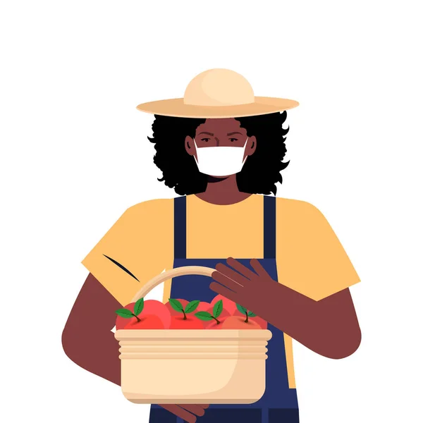 女农民手持装有新鲜苹果的盒子，戴着面罩，以防止考拉韦病毒大流行 — 图库矢量图片