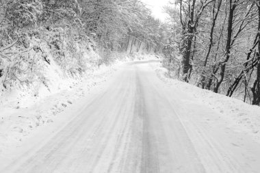Kış yol kar ve buzun içine bir orman kaplı
