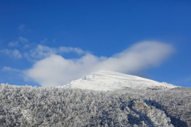 Rtanj - bulutlar bir karlı dağ tepe üzerinde ve mavi gökyüzü üzerinde temel orman
