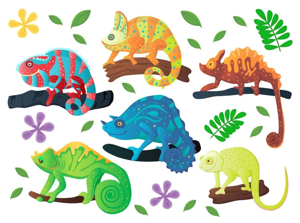 Colorful Chameleon Set Vector Illustration Cartoon Style Jungle Reptiles Composition — Stock Vector
