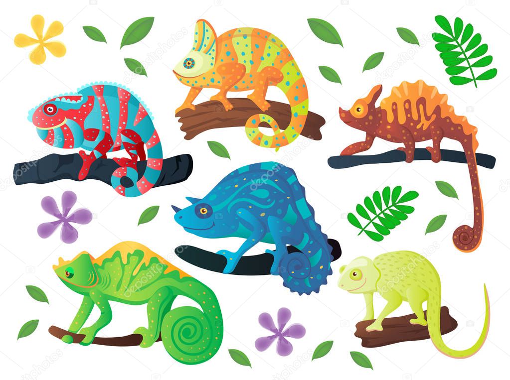 Colorful Chameleon set. Vector illustration, cartoon style. Jungle reptiles composition.