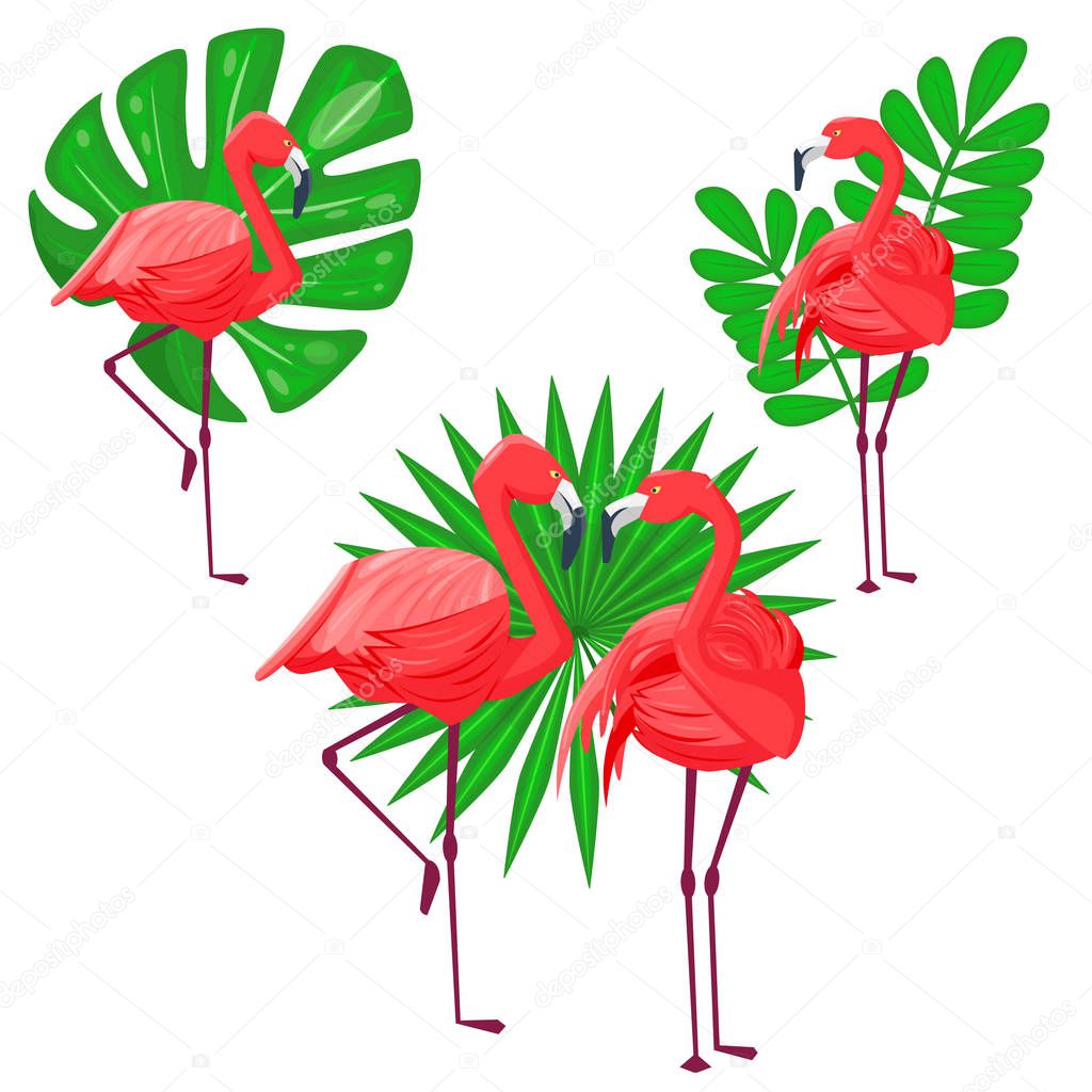 Flamingo and jungle leaves. Summer design with birds. Vector illustration, cartoon style.