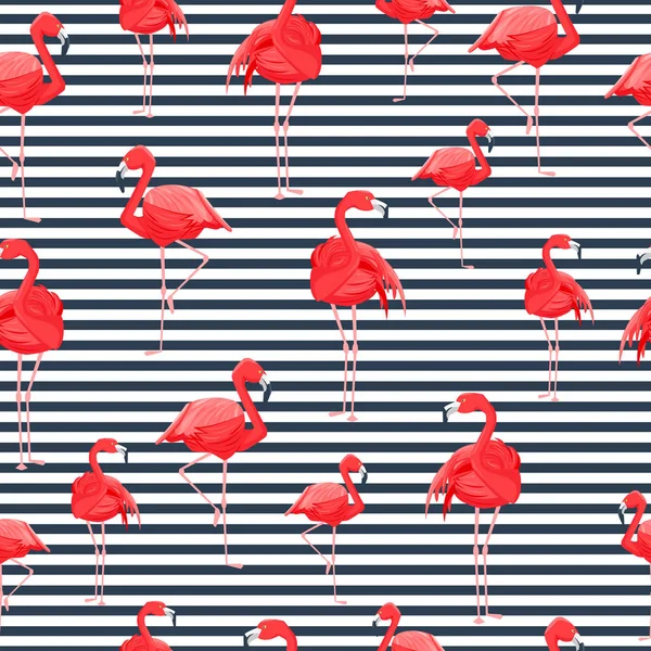 Flamingo Listras Sem Costura Padrão Pássaros Cor Rosa Fundo Branco — Vetor de Stock