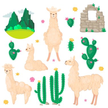 Lama ve kaktüs ayarlayın. Alpaka yün ve llamas, succulents ve mountins ile Peru Amerikan Vadisi illüstrasyon vektör. Karikatür tarzı.