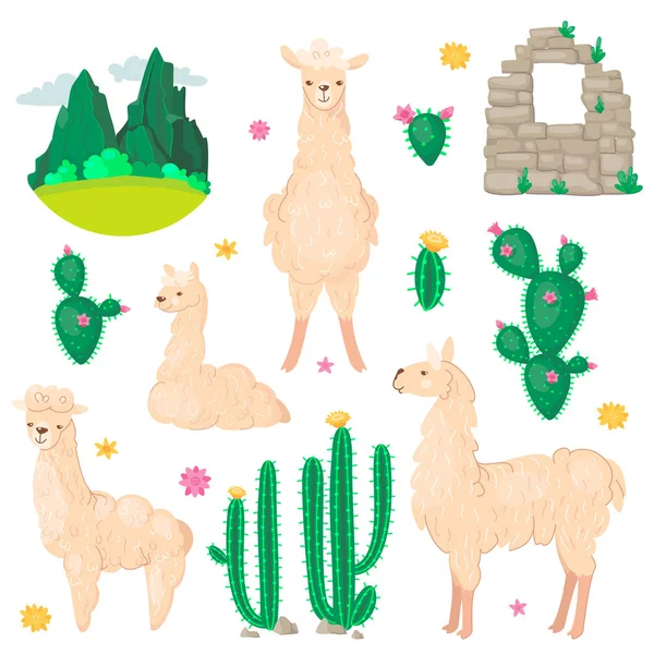 Lama Cactus Set Alpaca Wool Llamas Succulents Peru American Valley — Stock Vector