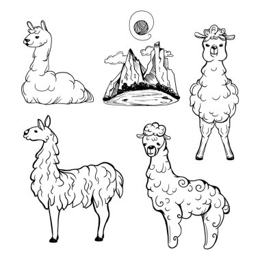 Lama ve alpaka çizilmiş seti ver. Vadisi Dağları vektör çizim ile. Karikatür kroki tarzı.