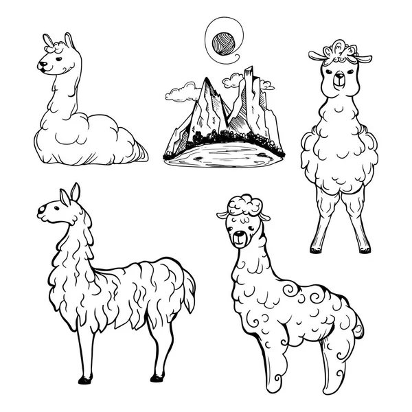 Set Dibujado Mano Lama Alpaca Valle Con Ilustración Vectorial Montañas — Vector de stock