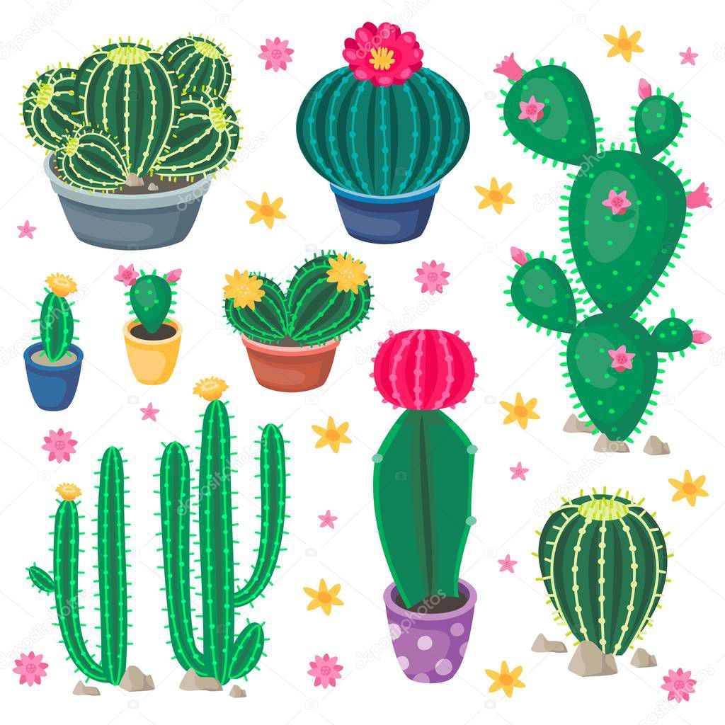 Cartoon cactus set with cute colorful cacti. Desert plants in the pots and succulent flowers. Botanical Vector illustrations.