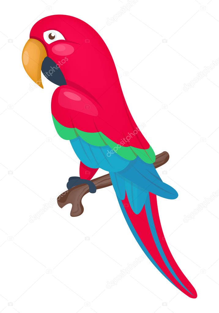 Ara parrot. Vector illustration of macaw. Cartoon
