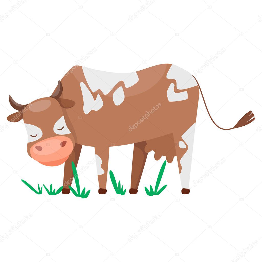 Adorable cute cow. Vector design for milky pack or illustration for children. Cartoon flat