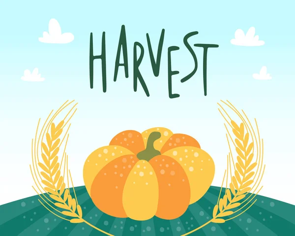 Calabaza y espigas de trigo en el campo verde. Concepto del festival Harvest. Diseño gráfico vegetal para carteles y pancartas de menú de cartas. Vector de dibujos animados plana — Vector de stock