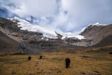 Çin, Tibet manzara.