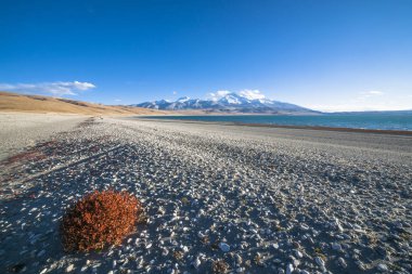 Çin, Tibet manzara.