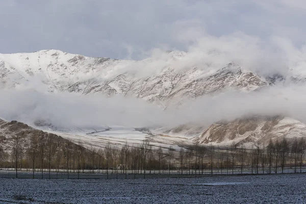 Ren Landskap Tibet Kina — Stockfoto