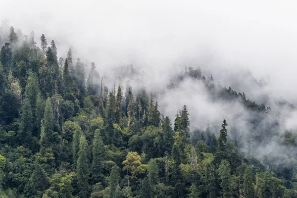 中国でチベットの風景 — ストック写真