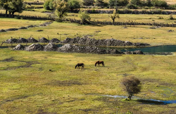 Landschaft Tibets China — Stockfoto