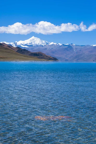 Landscape Tibet China — Stock Photo, Image