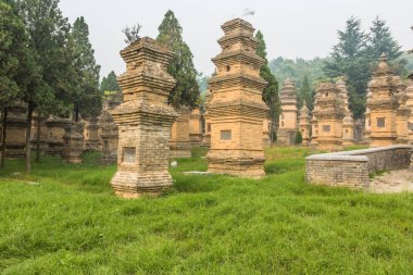 Shaolin Tapınağı'nda henan Çin.