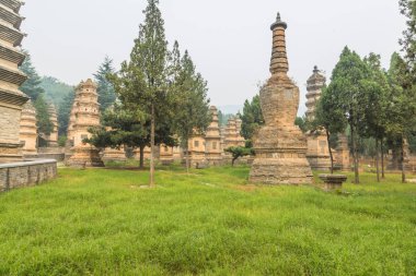 Shaolin Tapınağı'nda henan Çin.