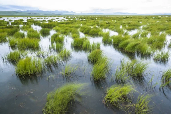 Paesaggio Tranquillo Cina Tibet — Foto Stock