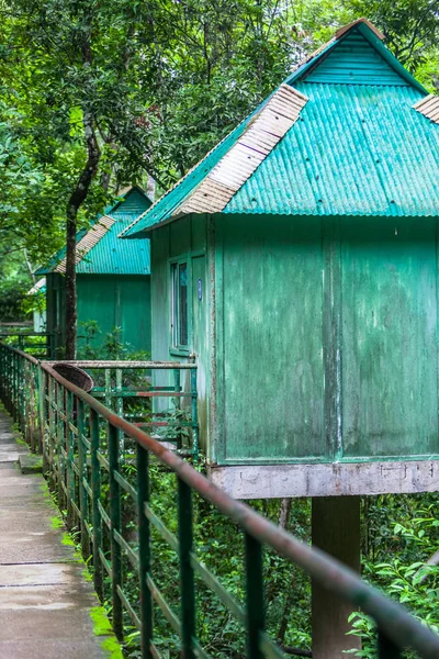 Walkway Remote Tree House Yunnan China — Stock Photo, Image