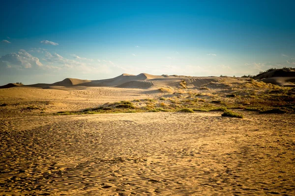 Desert Sunset West China — Stock Photo, Image