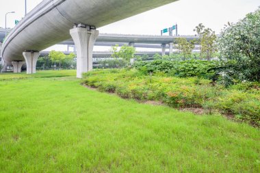 Köprü Üstgeçit, shanghai, Çin.