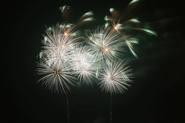 Cluster Colorful Fourth July Fireworks — Stock Photo, Image