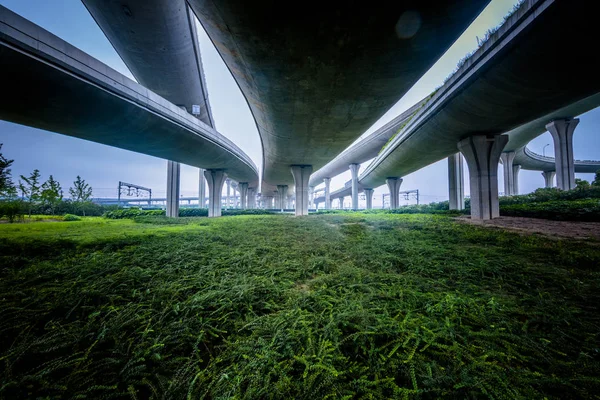 Brug Viaduct Van Shanghai China — Stockfoto