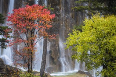 şelale Güz, yunnan Çin.