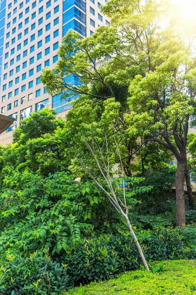 Szene Der Stadt Mit Grünem Backgrund Shanghai China — Stockfoto