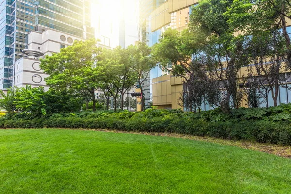 Scène Van Stad Met Groene Bakcground Shanghai China — Stockfoto