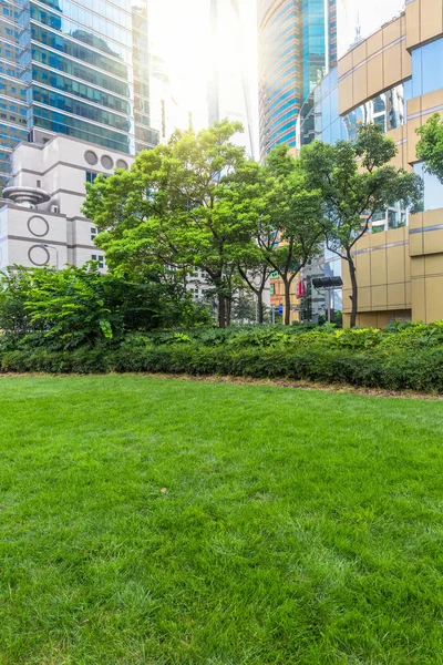 Scène Van Stad Met Groene Bakcground Shanghai China — Stockfoto