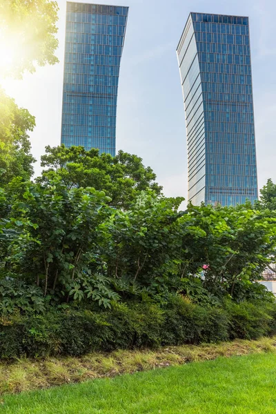 scene of city with green bakcground at shanghai china.