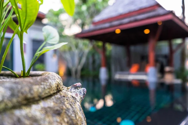 Puutarha Hotelli Thaimaassa — kuvapankkivalokuva