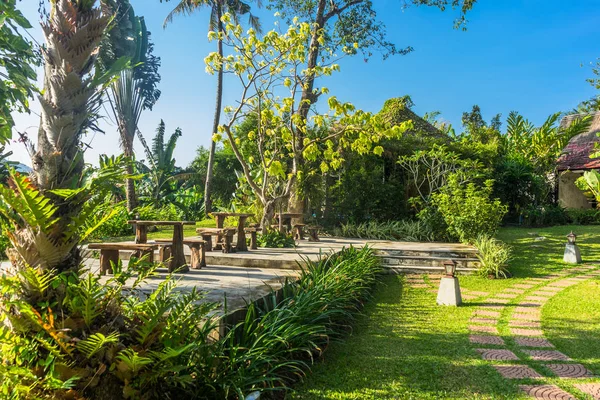 patika yeşil bahçe Malezya.