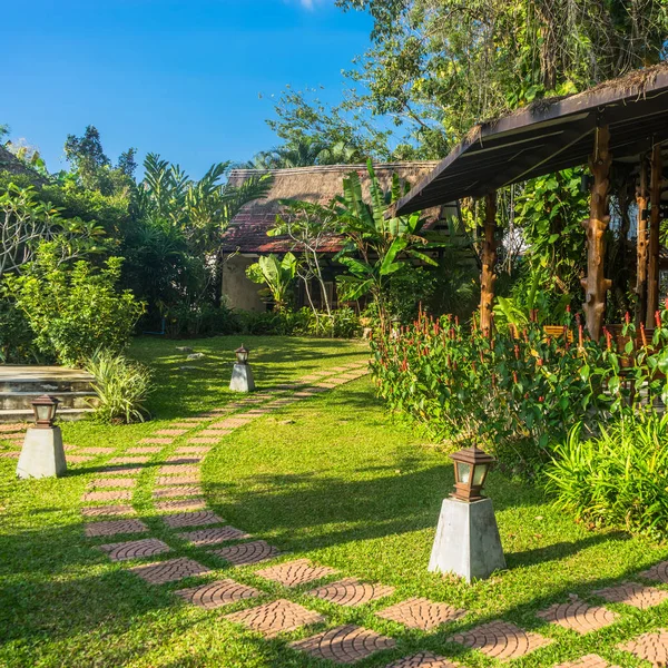 Footpath Green Garden Malaysia — Stock Photo, Image