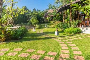 patika yeşil bahçe Malezya.