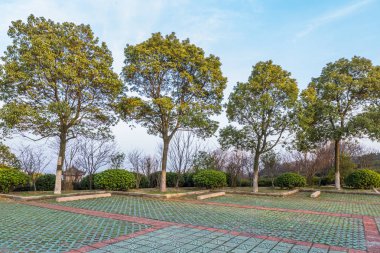 günbatımı dağın tepesine park yerinde.