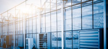 İçinde hydroponic sistemi bitki ekili