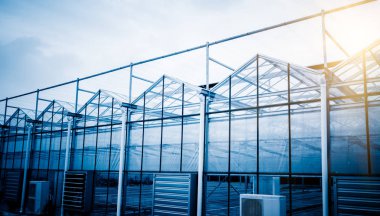 Ev sebze büyüme yeşil, Çin shanghai.