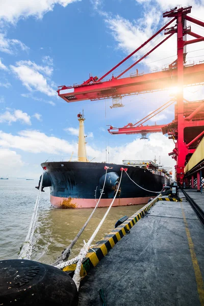 Cargo Containers Harbor Shanghai China — Stock Photo, Image